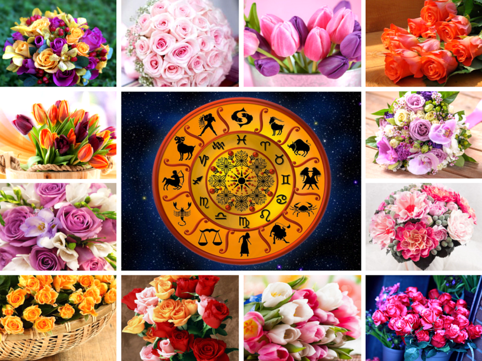 Цветы по знаку зодиака