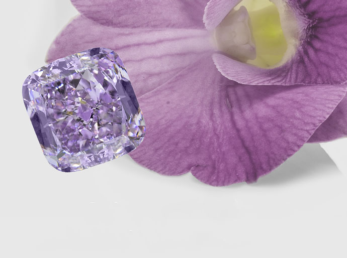 1_blue-orchide-diamond