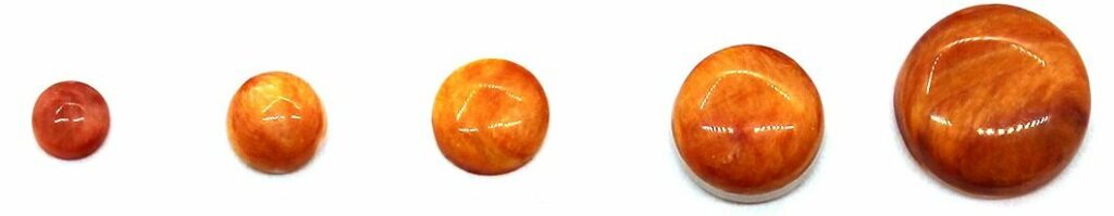 Оранжевая "дочь моря" - драгоценная раковина инков