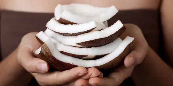 Копра кокоса в руках