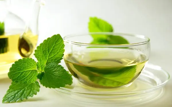 Зелёный чай в прозрачной чашке на блюдце и веточка мяты