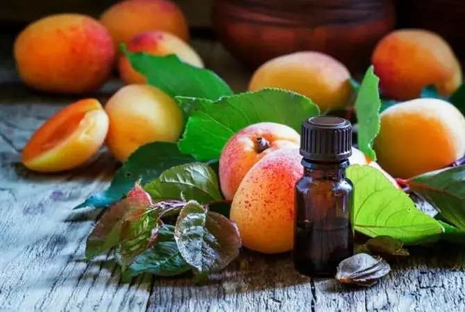 Первая помощь осенью: как персиковое масло помогает от насморка 3
