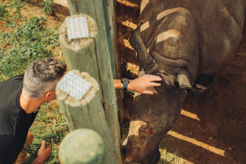 Hublot продолжает оказывать поддержку ассоциации SORAI (Save Our Rhinos Africa India)