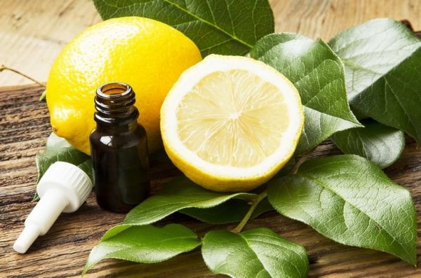 Эфир лимона и плоды в разрезе